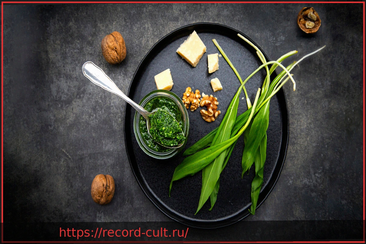 Preview Черемша: Всё, что нужно знать об этом полезном дикорастущем растении