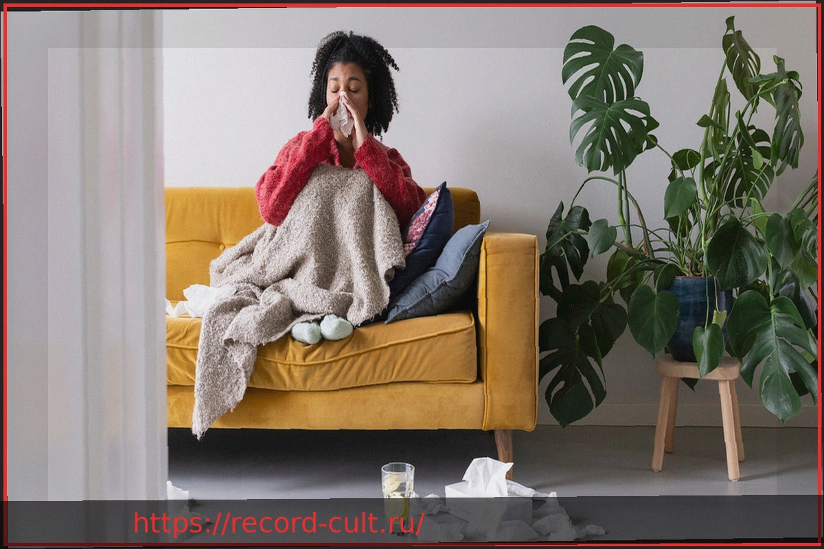 Preview Грипп 2025/2026: Волна официально завершена в Германии, более 1900 смертей