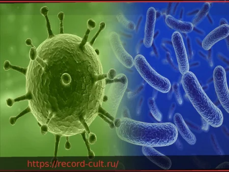 Вирусы и бактерии: Объяснение основных отличий