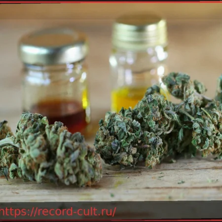 Что нужно знать о медицинском каннабисе