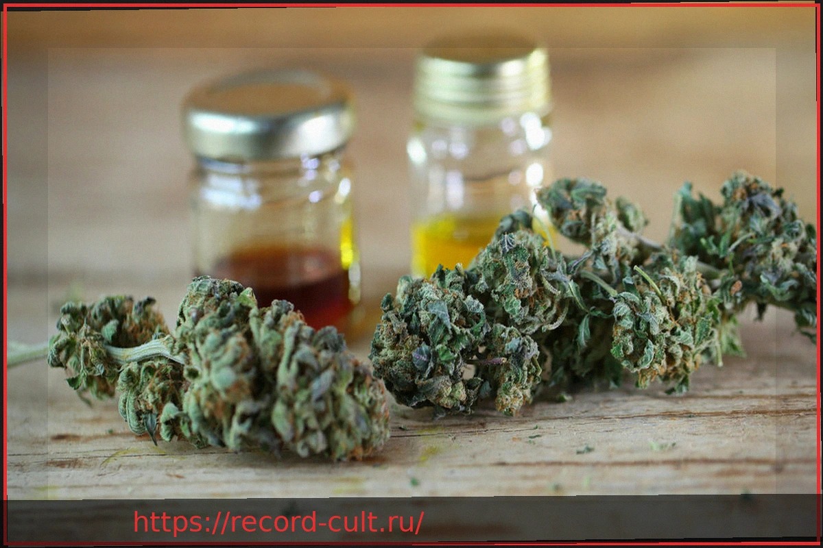 Preview Что нужно знать о медицинском каннабисе