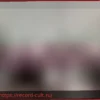Генерал Ванначчи: В Конституции нет статьи, упоминающей фашизм
