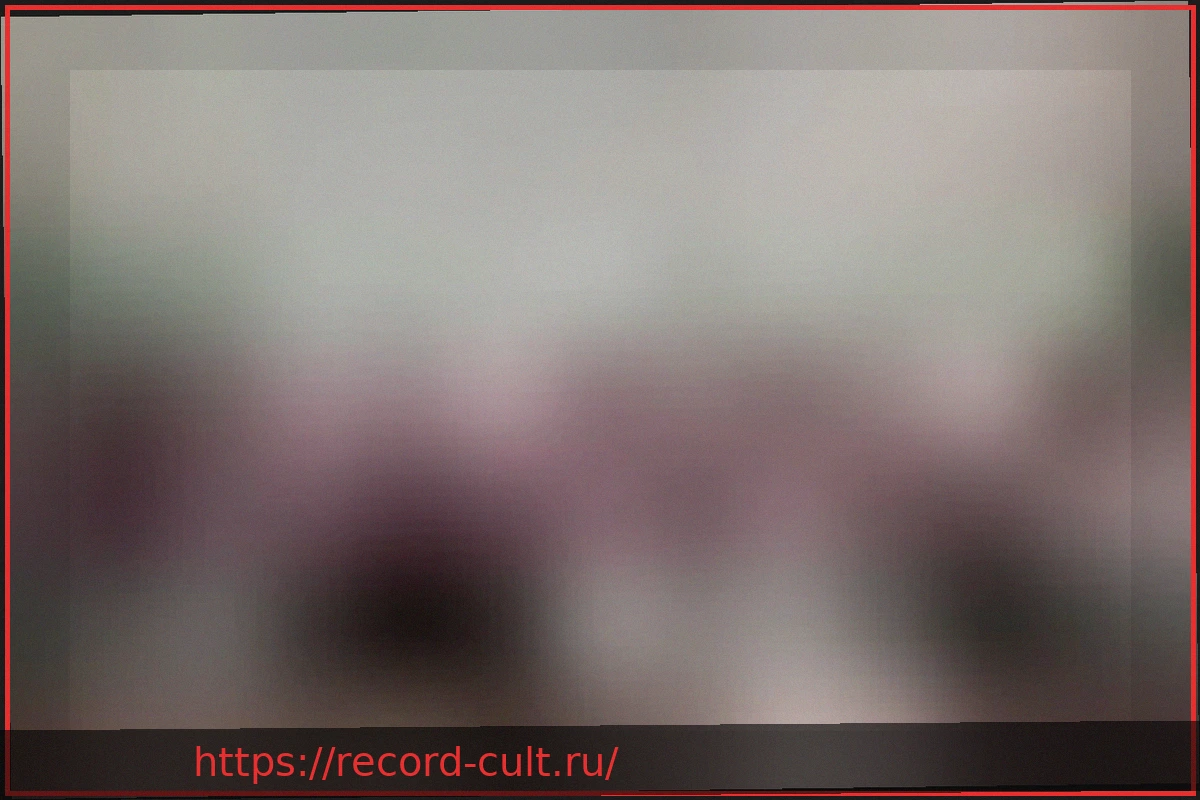 Preview Генерал Ванначчи: В Конституции нет статьи, упоминающей фашизм