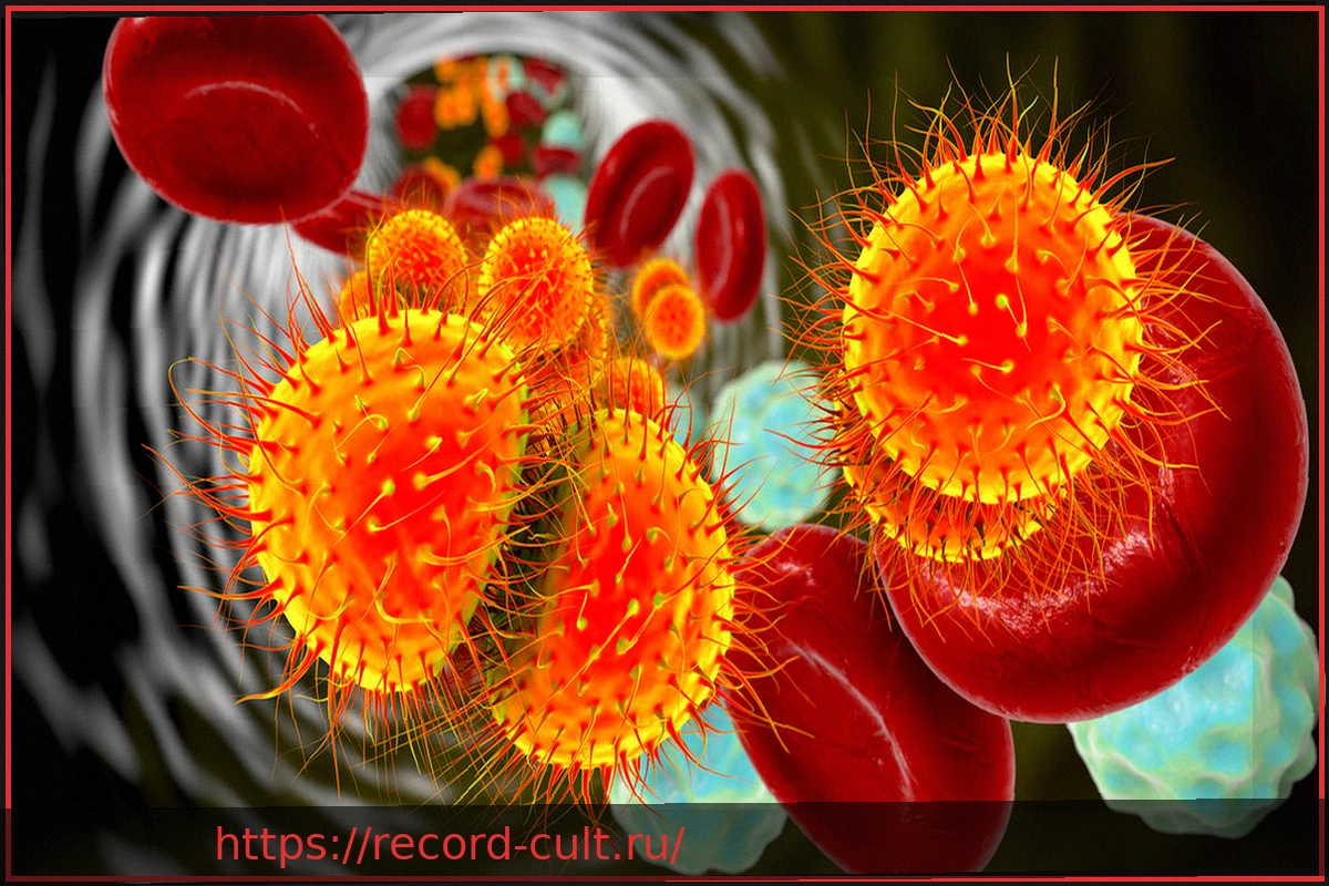 Preview Менингококки: насколько они опасны и к каким последствиям приводят