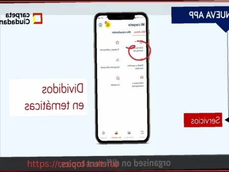 Приложение «Моя Гражданская Папка»: Все Официальные Услуги и Процедуры