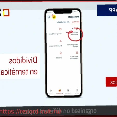 Приложение «Моя Гражданская Папка»: Все Официальные Услуги и Процедуры