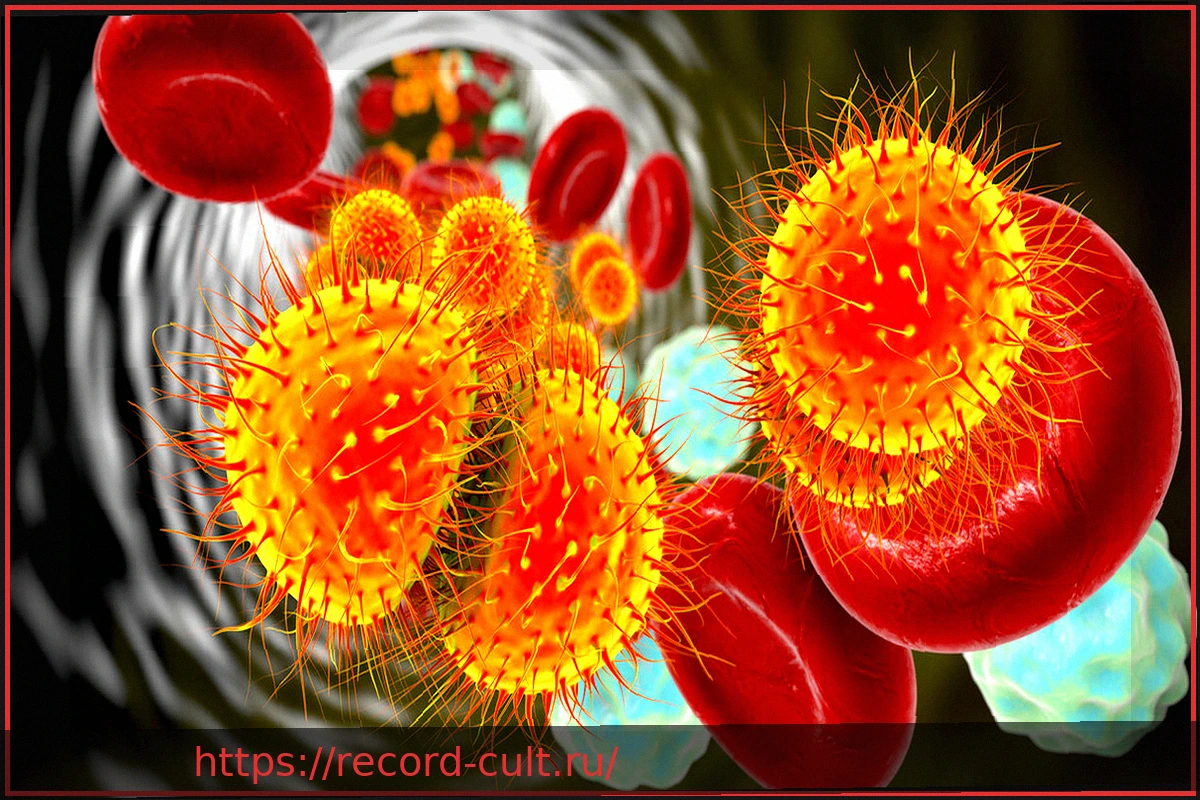 Preview Менингококки: Редкая, но опасная угроза