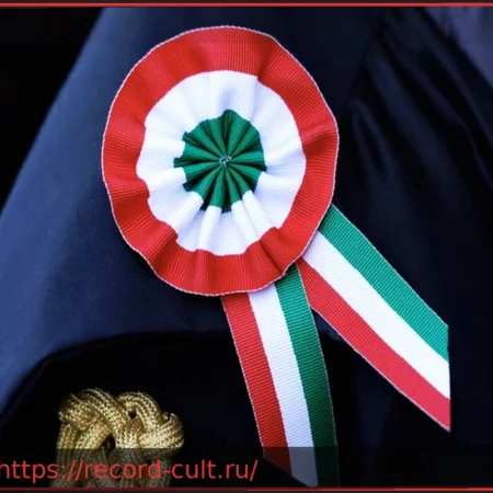 Референдум, новый политический субъект: план АНМ