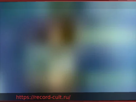 Культурная программа BAM: Связи как коллективный разум