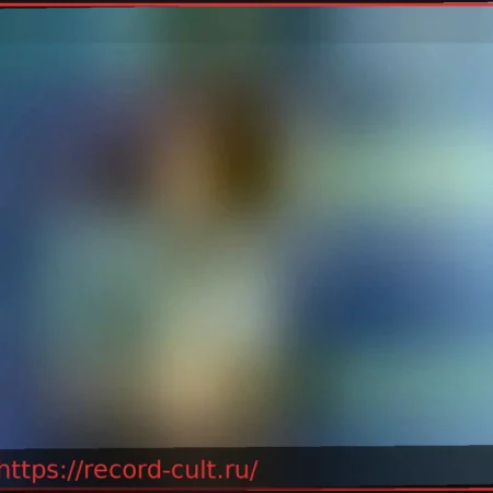 Культурная программа BAM: Связи как коллективный разум