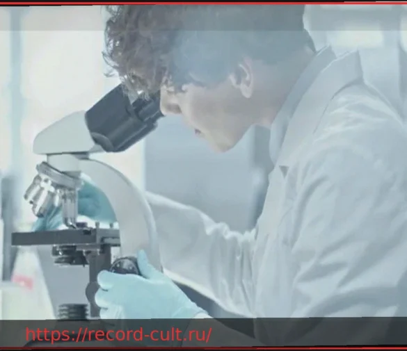 Нутрицевтики: что это такое и каковы их преимущества в профилактике заболеваний