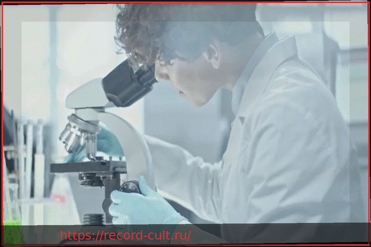 Preview Нутрицевтики: что это такое и каковы их преимущества в профилактике заболеваний