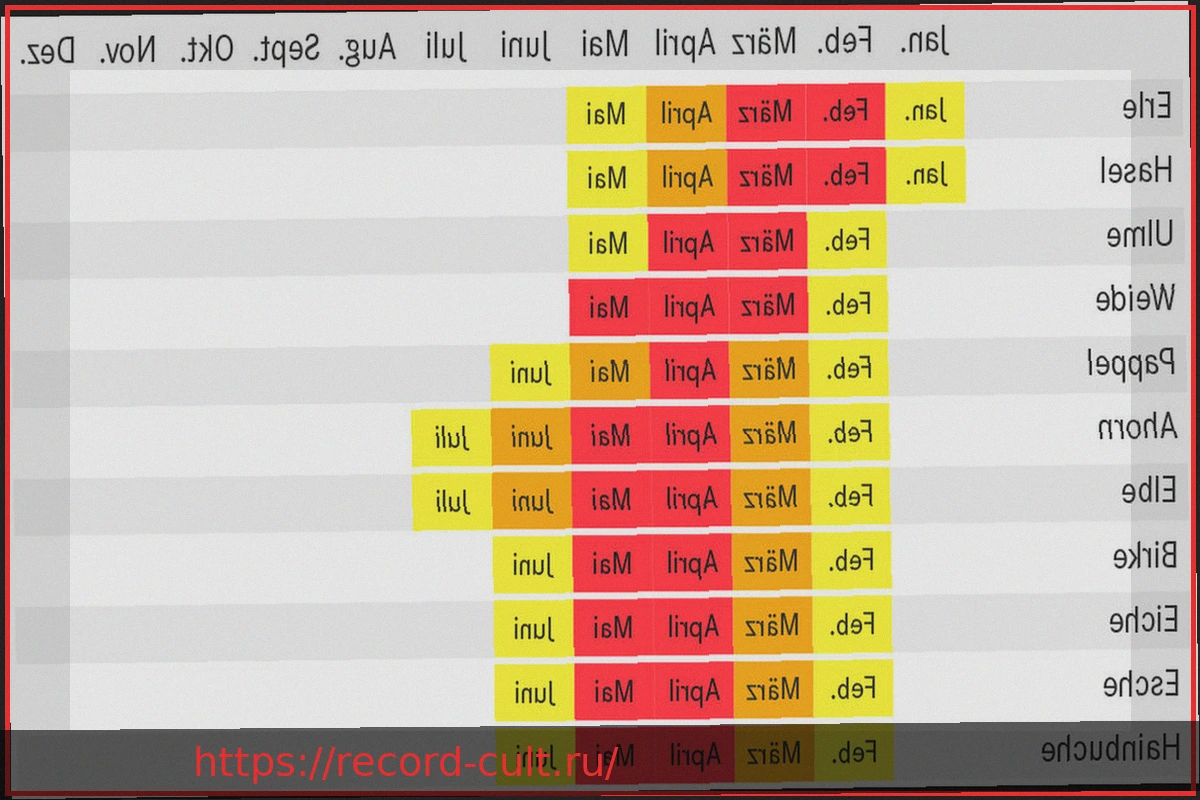 Preview Какие пыльцевые аллергены сейчас в воздухе? Проверка по почтовому индексу и быстрая помощь