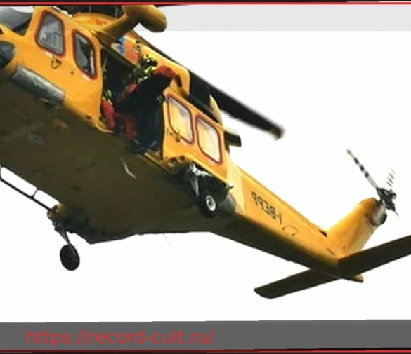 Трагедия в Тревизо: 18-месячная девочка попала под газонокосилку, состояние крайне тяжелое