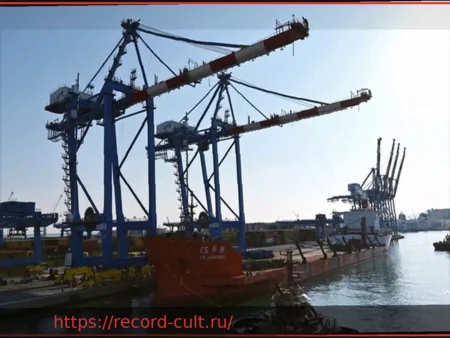 Medov: Операции по выгрузке новых кранов на терминале SECH в Генуе