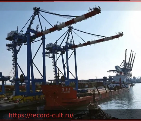 Medov: Операции по выгрузке новых кранов на терминале SECH в Генуе