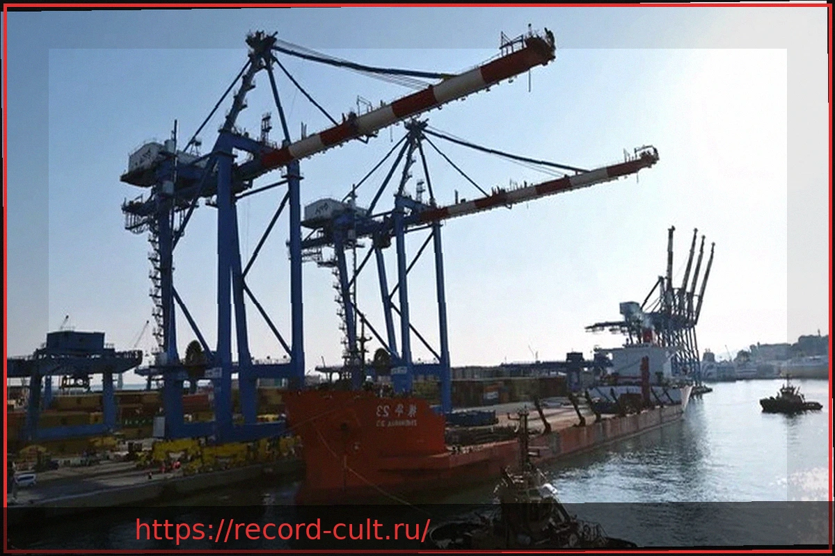 Preview Medov: Операции по выгрузке новых кранов на терминале SECH в Генуе