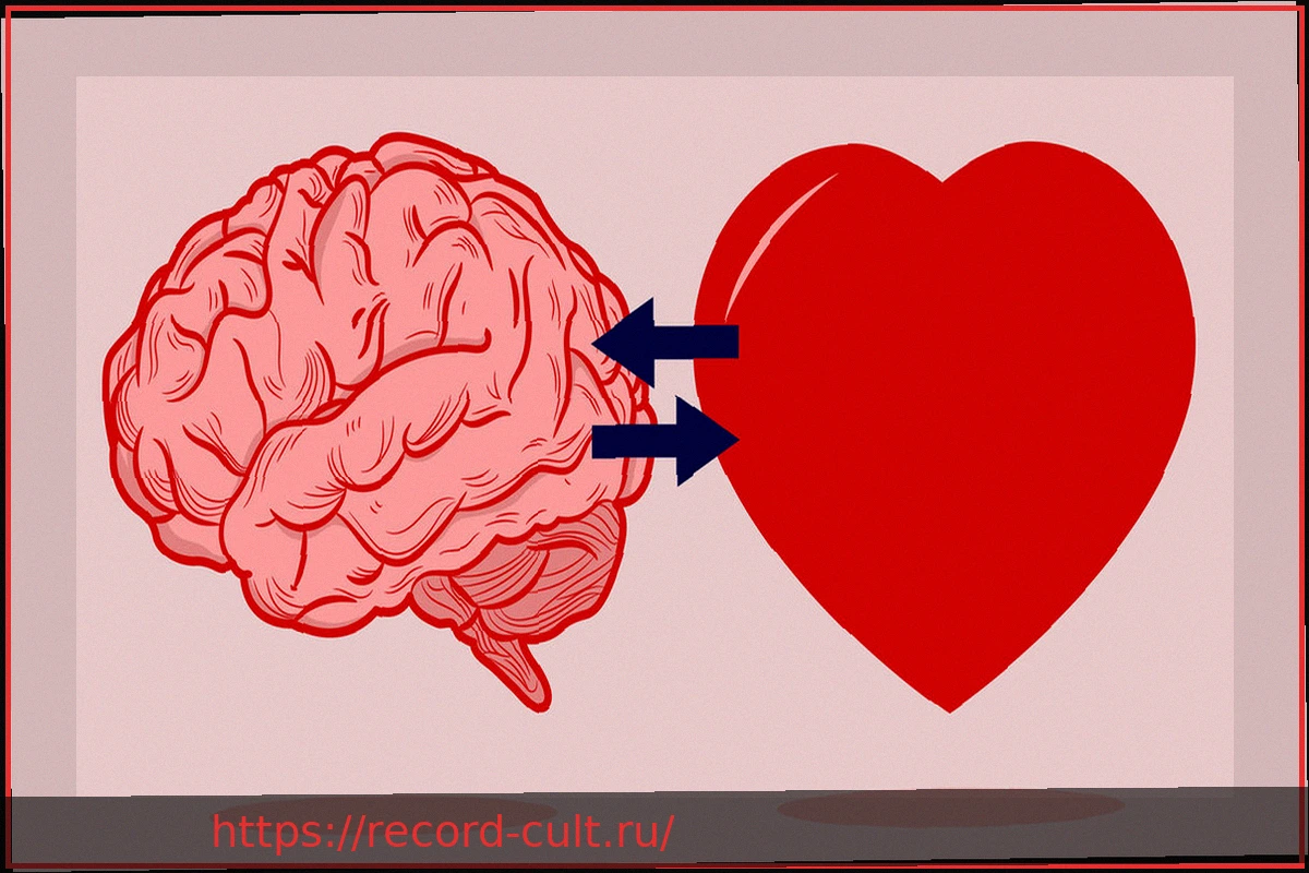 Preview Как сердечные заболевания влияют на психику и что помогает