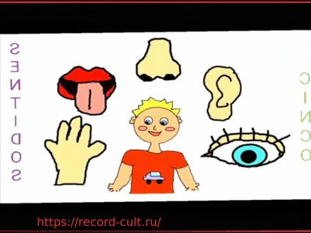 Применение системы 5S: японский подход к эффективности