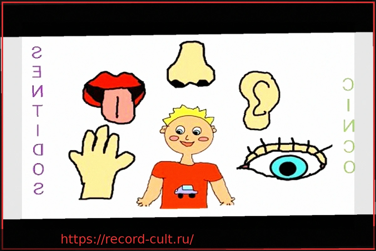 Preview Применение системы 5S: японский подход к эффективности