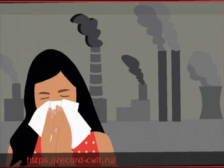 Риски для здоровья, связанные с мелкодисперсной пылью