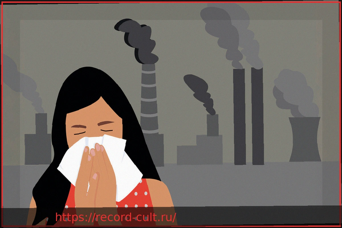 Preview Риски для здоровья, связанные с мелкодисперсной пылью