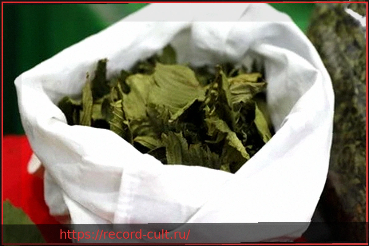 Preview Кратом: 1 из 16 случаев приводит к реанимации – новый тревожный сигнал