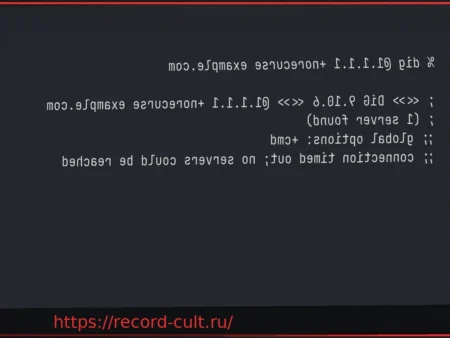 Независимый отчет подтверждает конфиденциальность 1.1.1.1, бесплатного DNS от Cloudflare