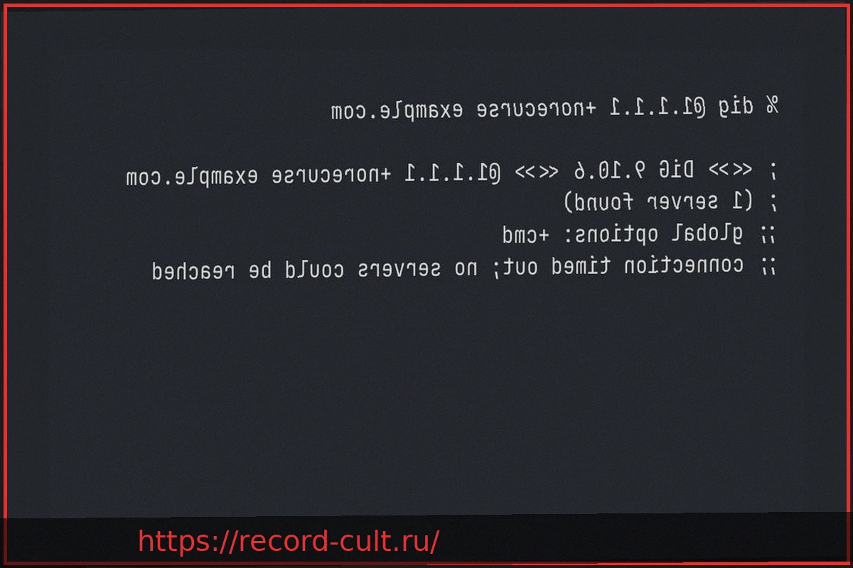 Preview Независимый отчет подтверждает конфиденциальность 1.1.1.1, бесплатного DNS от Cloudflare
