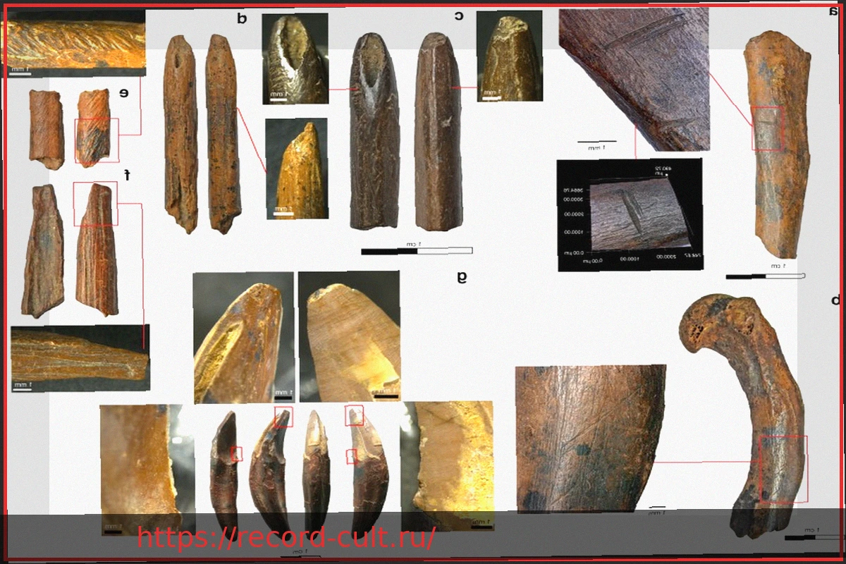 Preview NSA использует Mythos, несмотря на конфликт с Пентагоном