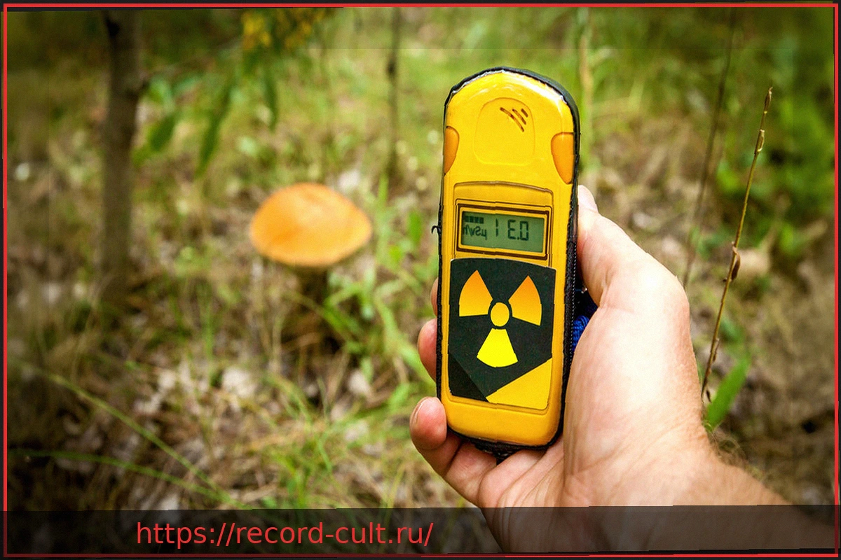 Preview 40 лет после Чернобыля: Насколько пострадала Германия?