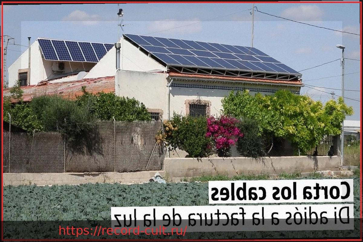 Preview ИИ раскрывает энергетические издержки для итальянского малого бизнеса: как сэкономить 700 евро в год