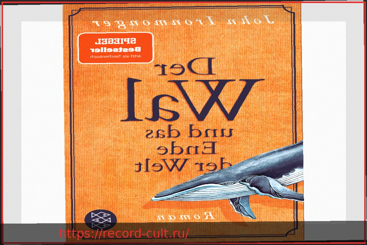 Preview Кит и мы: Обзор тем передачи