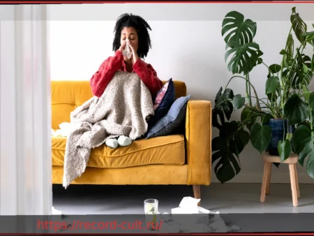 Эпидемия гриппа 2025/2026 официально завершена – более 2000 летальных исходов