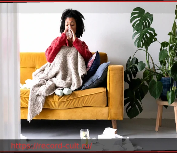 Эпидемия гриппа 2025/2026 официально завершена – более 2000 летальных исходов