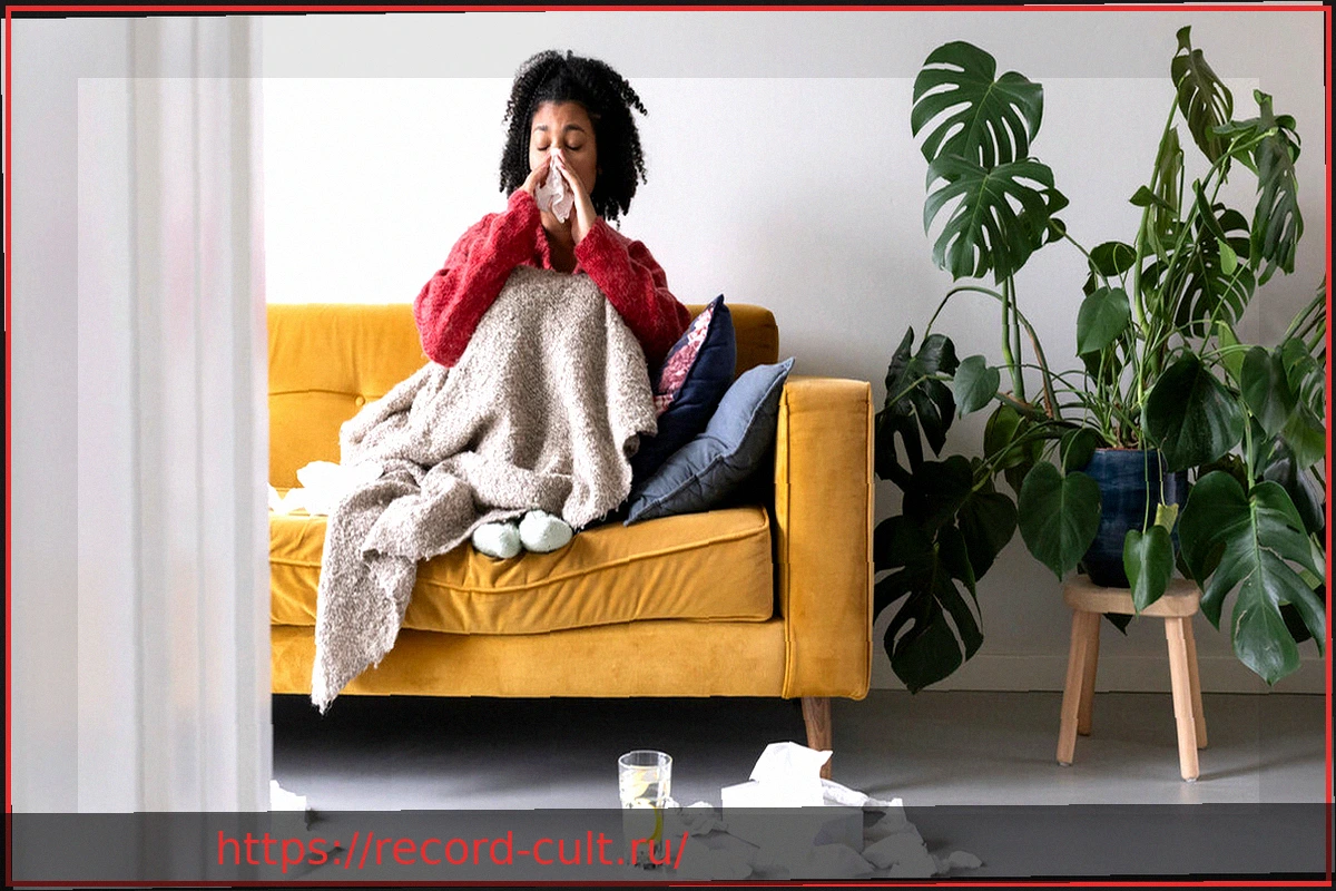 Preview Эпидемия гриппа 2025/2026 официально завершена – более 2000 летальных исходов