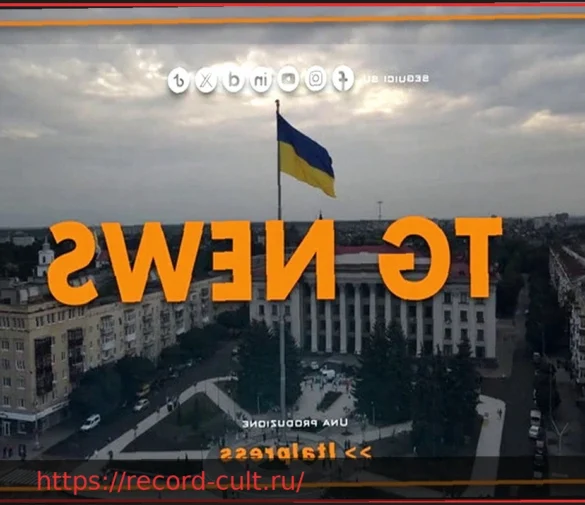 Tg News — 2/4/2026