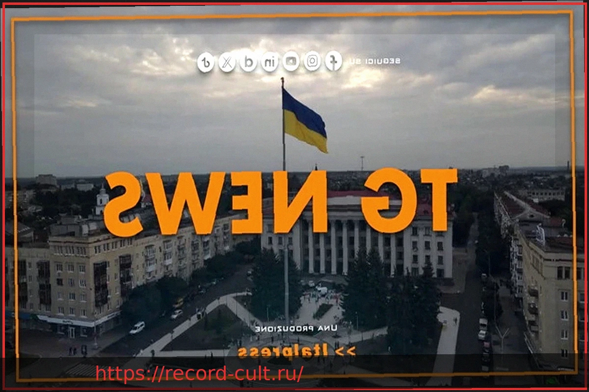 Preview Tg News — 2/4/2026