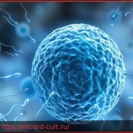 Не только ДНК: шокирующее открытие о сперматозоидах, которое может все изменить