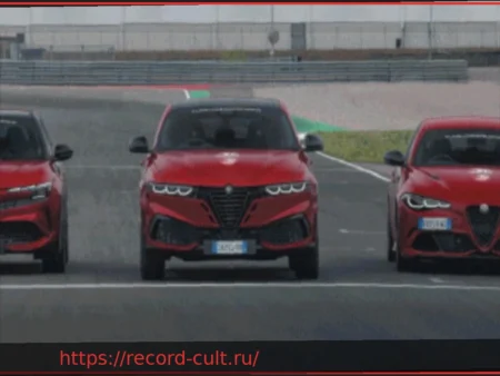 Alfa Romeo Driving Academy: Инстинкт — это техника и эмоции
