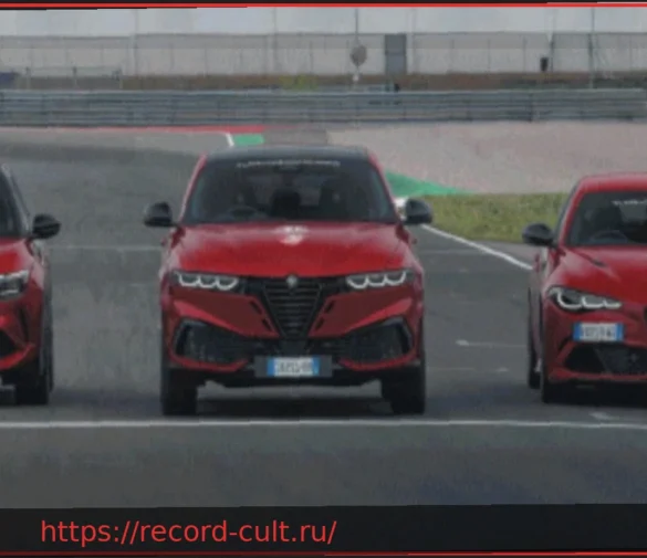 Alfa Romeo Driving Academy: Инстинкт — это техника и эмоции