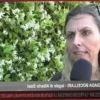 Адвокат Альберто Стази: «Говорите со мной! В студии трое, и никто не представляет защиту»