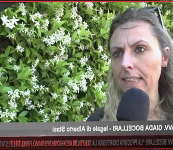 Адвокат Альберто Стази: «Говорите со мной! В студии трое, и никто не представляет защиту»