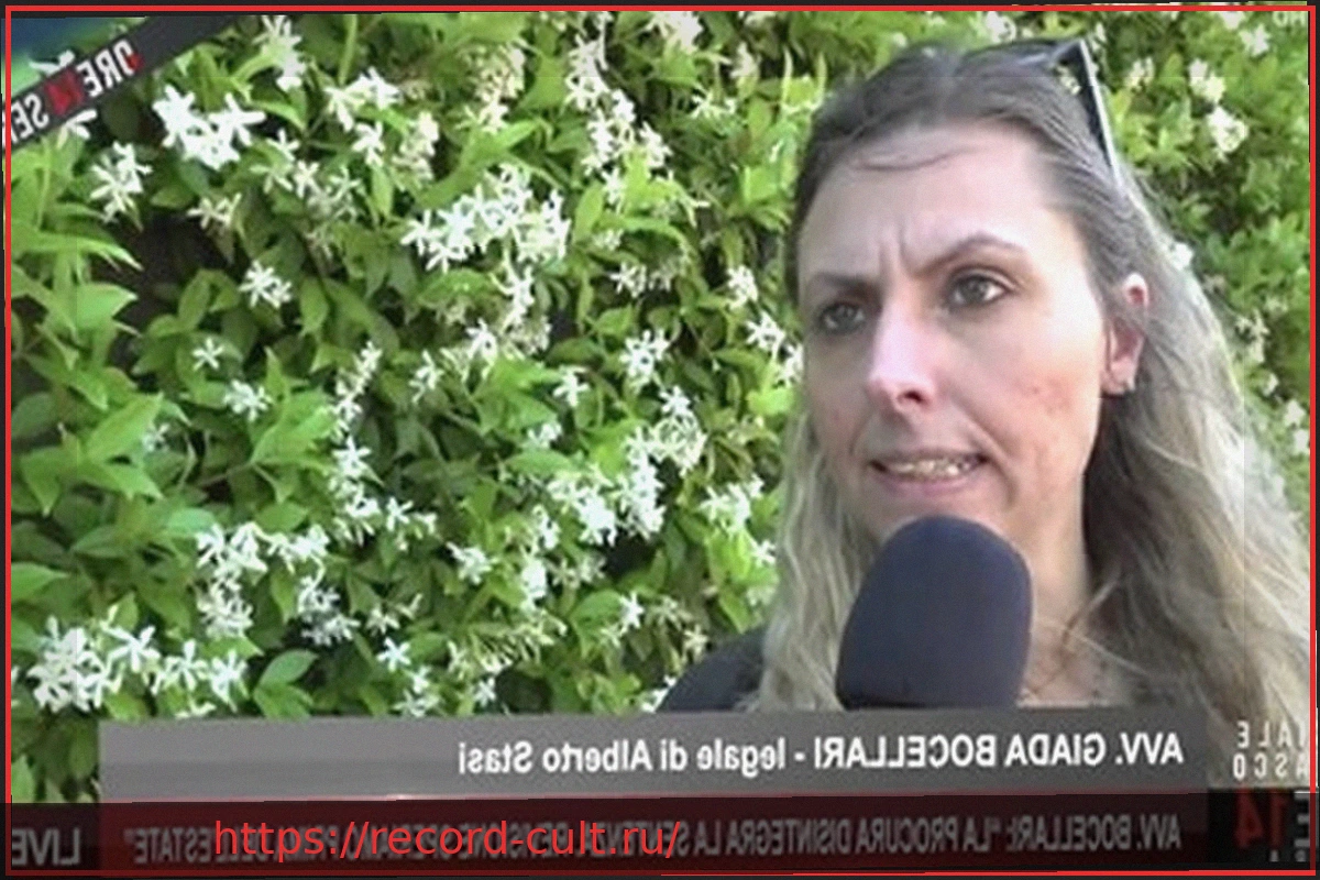Preview Адвокат Альберто Стази: «Говорите со мной! В студии трое, и никто не представляет защиту»