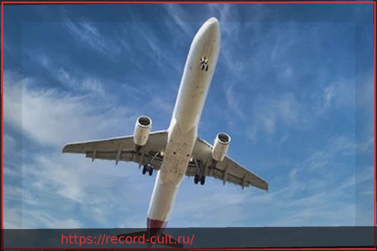 Preview Пилот Air Canada почувствовал себя плохо во время полета: паника на борту