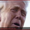 Donald Trump è un cogl***