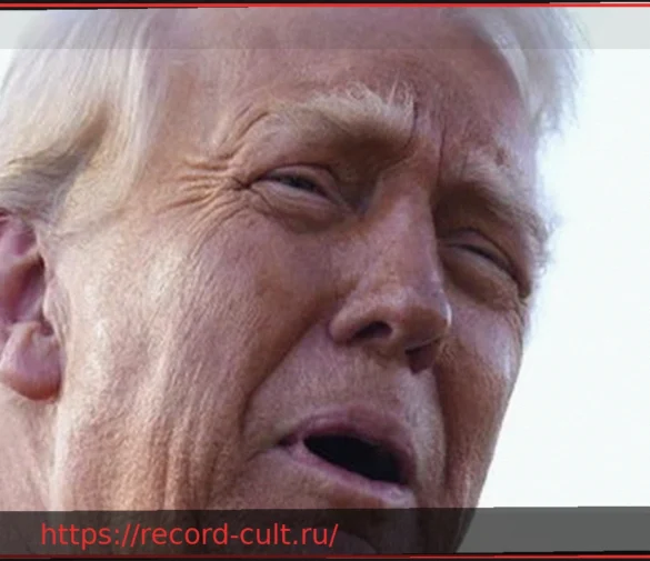 Donald Trump è un cogl***
